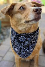 Load image into Gallery viewer, Over-The-Collar Dog Bandana

