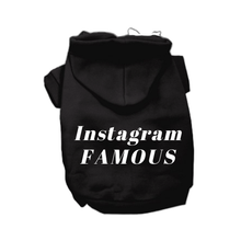 Load image into Gallery viewer, IG Famous Hoodie

