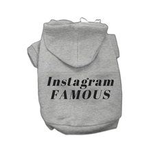 Load image into Gallery viewer, IG Famous Hoodie
