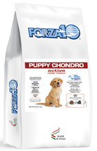Load image into Gallery viewer, Forza10 Active Puppy Chondro Diet Dry Dog Food
