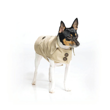 Load image into Gallery viewer, DoggieCoutureNY Classic Trench Coat
