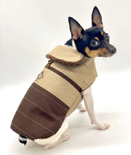 Load image into Gallery viewer, DoggieCoutureNY Water Resistant Coat
