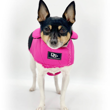 Load image into Gallery viewer, DoggieCoutureNY Water Resistant Coat
