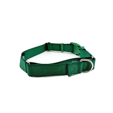 Load image into Gallery viewer, Green Martingale Collar
