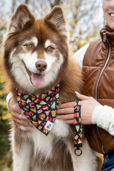 Woodland Tales Dog Bandana & Matching Keychain