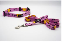 Load image into Gallery viewer, Dog Collar And Leash Set
